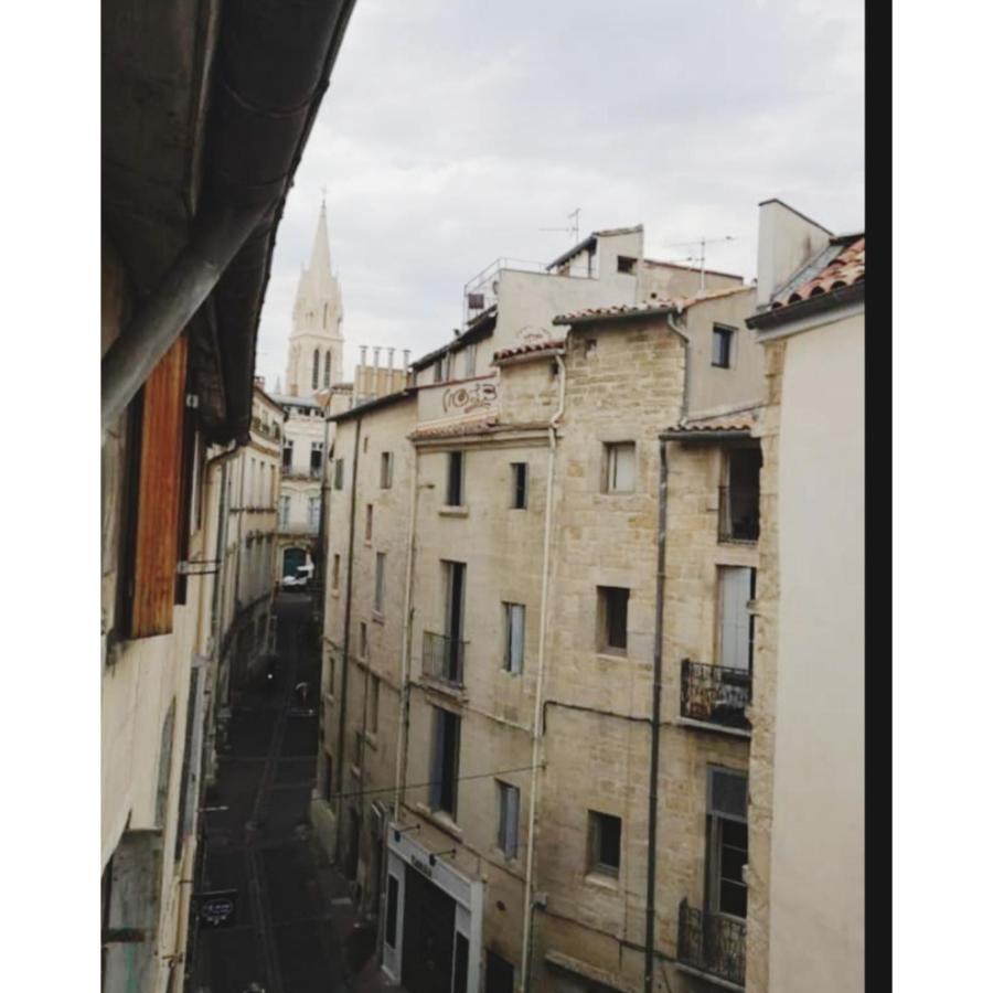 Appartement Cosy Au Coeur De Montpellier Exteriör bild